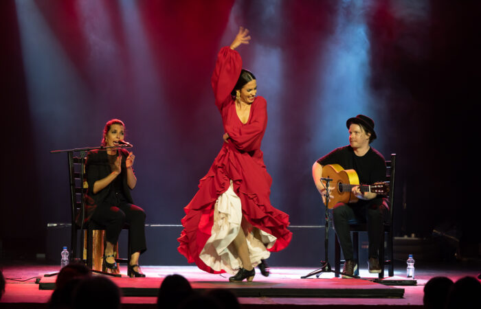 Brindamos Flamenco trio esiintymässä. Reunoilla kaksi istuvaa muusikkoa ja keskellä liikkeeseen eläytyvä tanssija punaisessa mekossa.